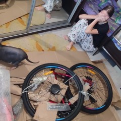 Велосипед STELS Miss-5000 D V020 вишнёвый/розовый (LU096323), рама 18", 2023